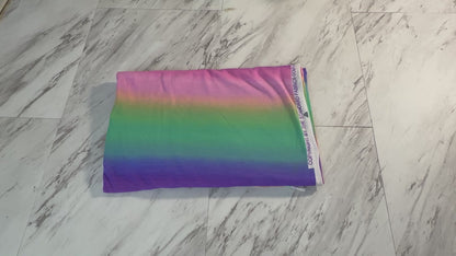 Ombre Rainbow Poly French Terry - 1 Yard